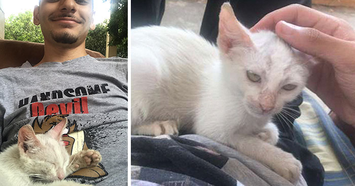 Guy Wakes Up From A Nap To A Stray Kitten Sleeping On His Stomach, Decides To Keep It