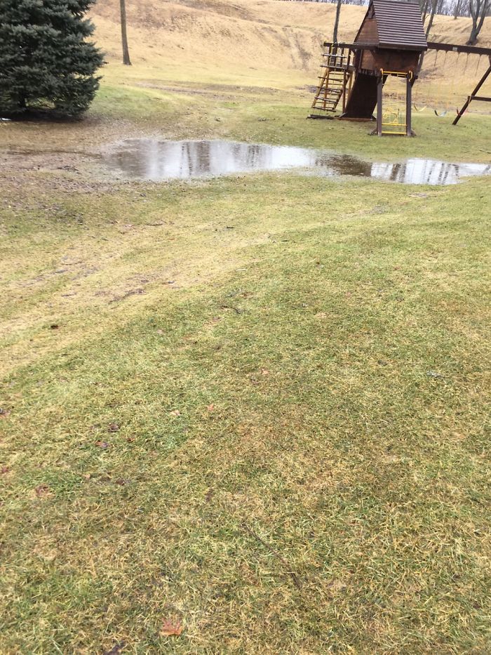 Tons Of Rain In East Michigan Wrecked Havoc On My Yard