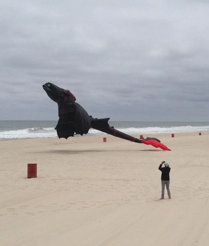 Saw This Awesome Toothless Kite On The Beach