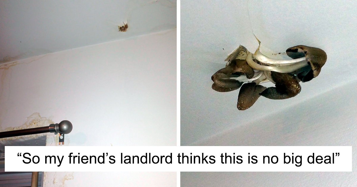 30 Times Landlords Neglected Their Tenants So Much, They Had To Take Pics  As Evidence | Bored Panda