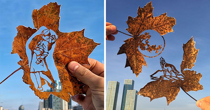 I Give A Second Life To Leaves By Cutting Drawings On Them (30 Pics)