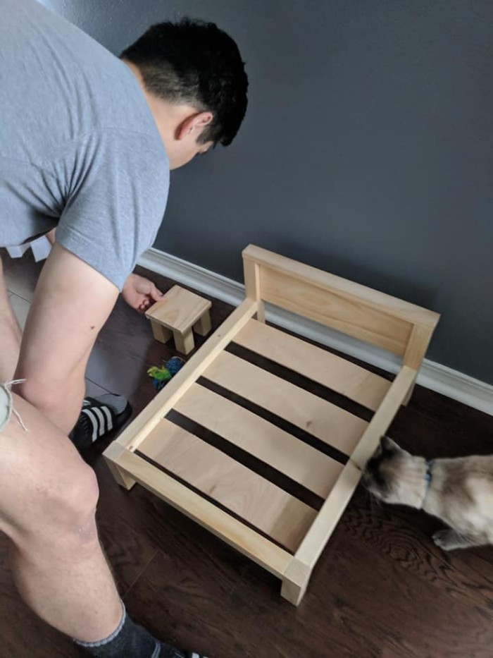 Wife Is Dying From Laughter After Finding Out The Bed Her Husband Was Building Is For The Cat, Not For Them