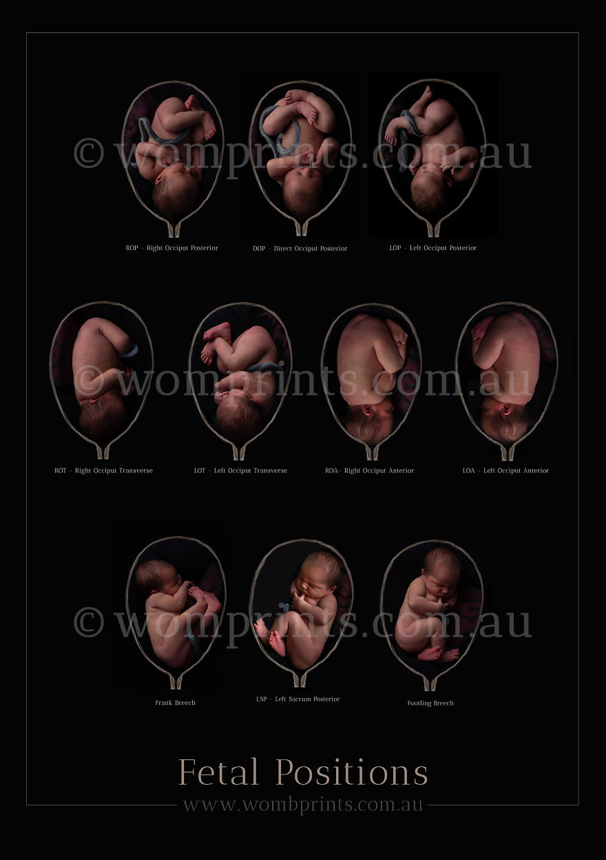 Photographer Poses Newborns As If They Were Still In The Womb!
