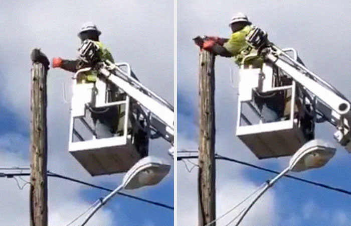Verizon Suspends Worker Who Rescued Cat Using His Work Equipment