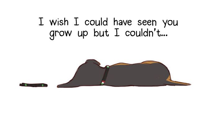 I Illustrated The Sad Tale Of My Two Cute Puppies Who I Sadly Won’t See Grow Up