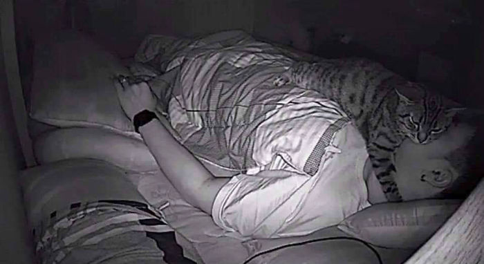 Man Sets Up Secret Camera To Record What His Cat Does At Night And It's Hilarious