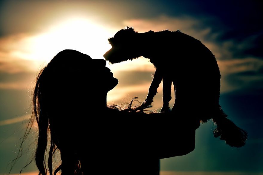 Why Life With Dogs Is The Best Why Life With Dogs Is The Best