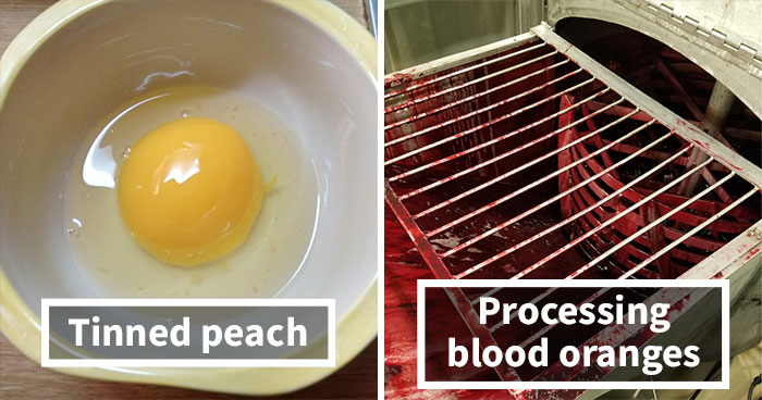 44 Things That Look Like Other Things