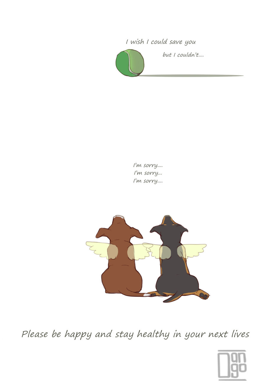 I Illustrated The Sad Tale Of My Two Cute Puppies Who I Sadly Won't See Grow Up