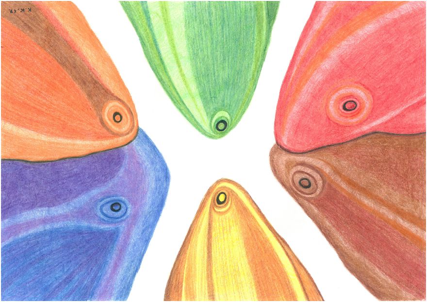 Runa Gifu (A Gift For You), One Magical Artistic Theme From 2017 G., A Drawing Was Sold!
