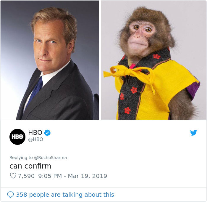 Someone Realizes This Monkey Looks Like Every Journalist And Real Journalists Confirm With 24 Pics