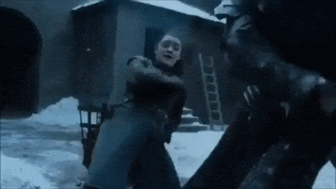 Fans Uncover All The Hidden Hints That Led To THAT Arya Twist