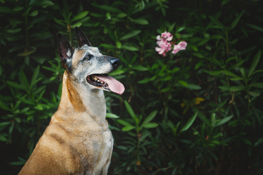 The Day After The War The Day After The War