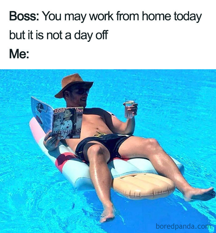 Work from home meme