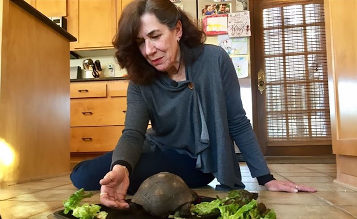 Woman Received A Pet Tortoise For Her 10th Birthday And They’ve Been Together For 56 Years