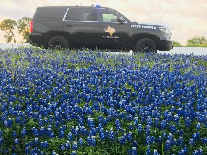 Police-Pics-Back-The-Blue-Bonnets-Texas