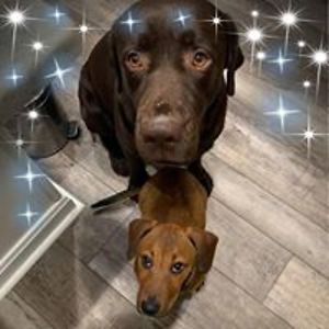 mirandasparks avatar