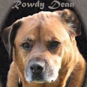 pamela_hamblin avatar