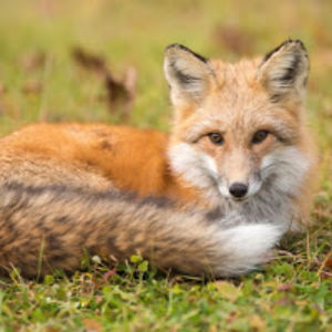 danielpatrickkey avatar