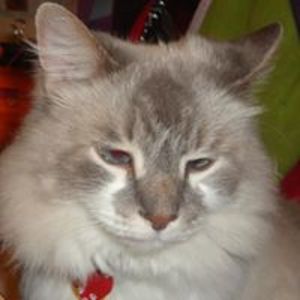 denicebrown_2000 avatar