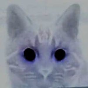 chrisferreira98 avatar