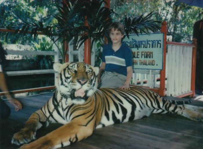 Yo a los 11 años acariciando a un tigre adulto