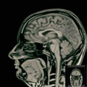 strangefrontier avatar