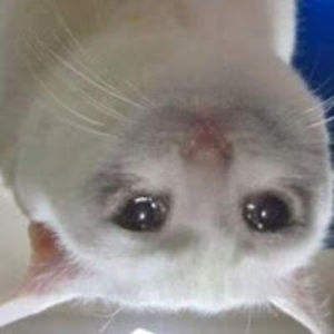 jonathanmichaelroberts avatar