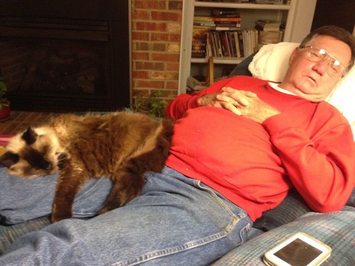 How My 20-Year-Old Cat And 70-Year-Old Father Spend Their Evenings