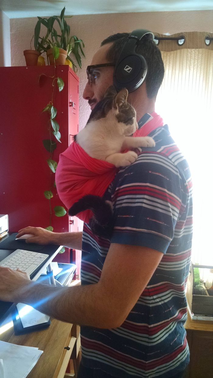 My Boyfriend Cliff Works From Home, But Our Kitten Simon Insists On Being Held Multiple Times Throughout The Day