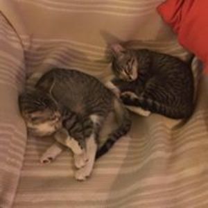 lindslydenise avatar