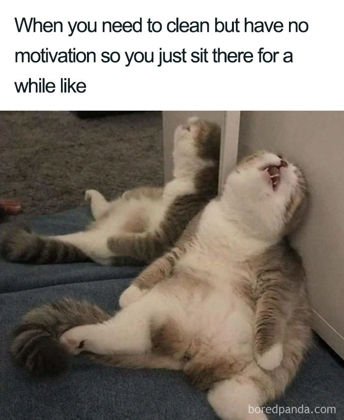 30 Of The Best Cleaning Memes Bored Panda