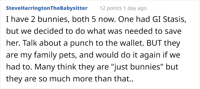 Bunny Owner Explains Why You Shouldn't Get One Before Easter