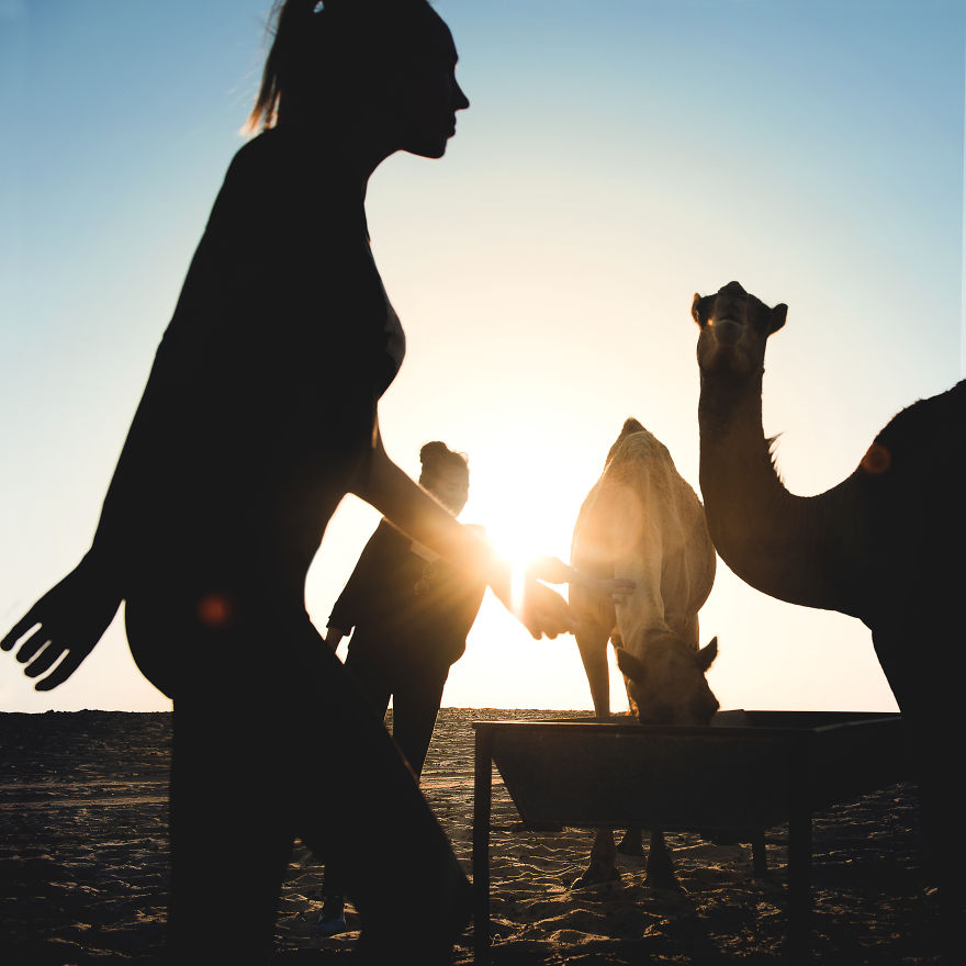 Abu-Dhabi Experience