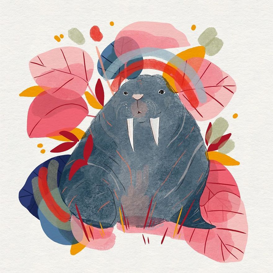 Walrus In The Springtime