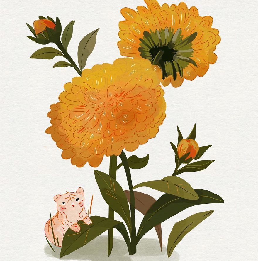 Small Tiger Living In Calendula Flowers