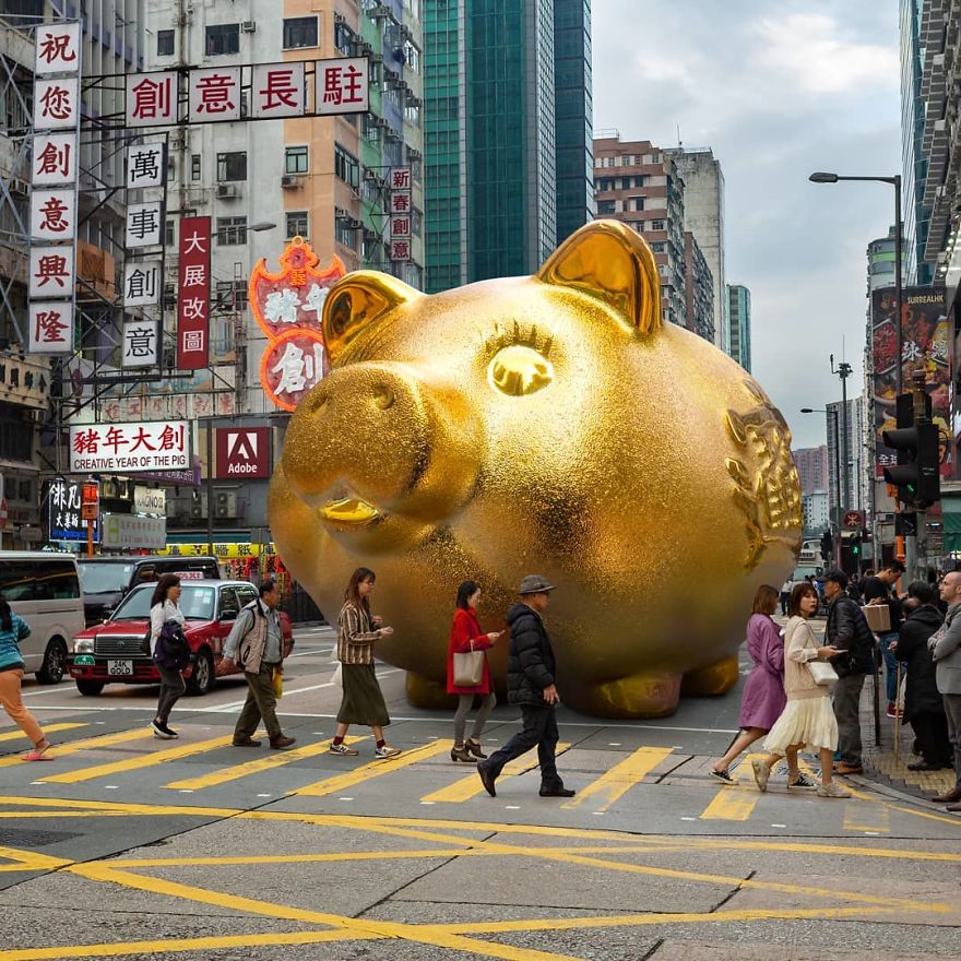 It Is Said That The Bigger The Golden Pig, The Greater The Fortune Will Bring. Who Wants It?