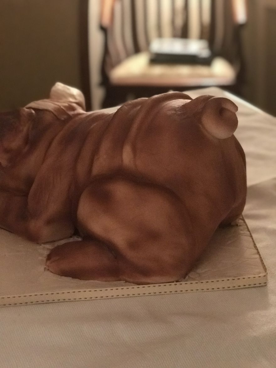 My First English Bulldog