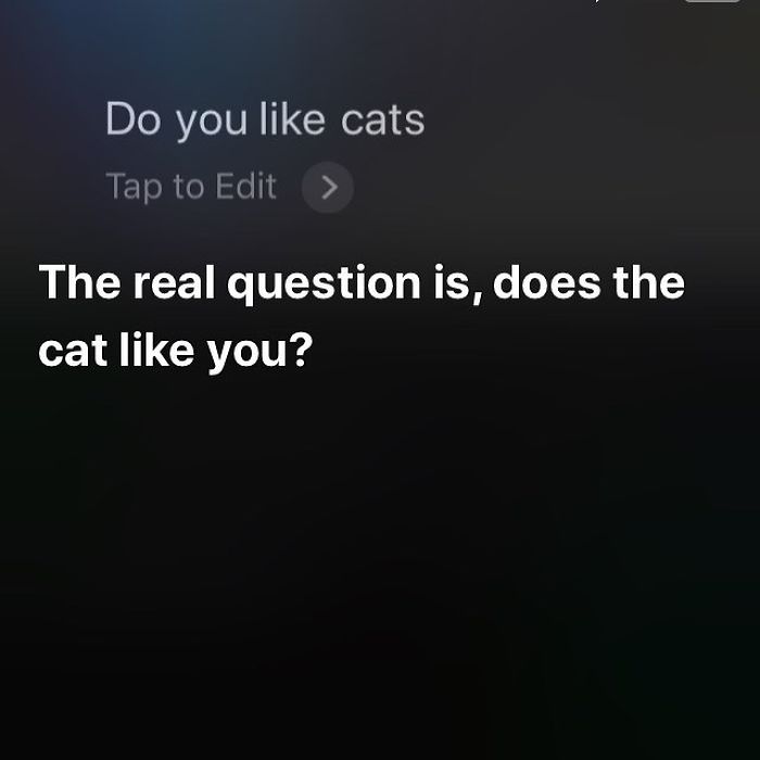 Yes, Siri, The Cats Do Like Me
