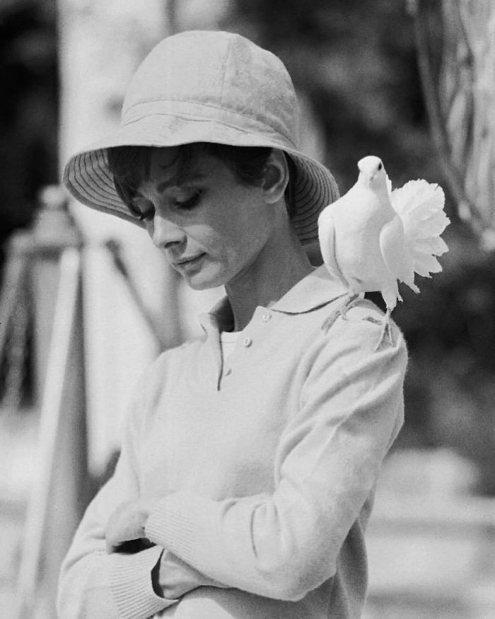 Audrey Hepburn, 1967