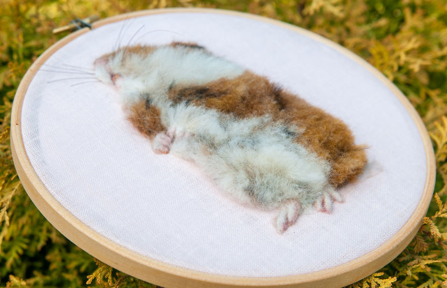 Painting Hamster/Felted Hamster/Woolen Hamster/ 3D Pet Portrait,/Memory Hoop Art/ Needle Felted Art/ Pet Gift/ Wool Painting/ Pet Picture