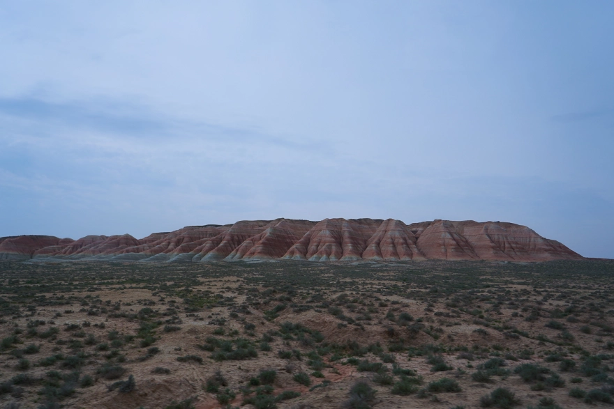 DSC09048-2-5cbaf94161053__880.webp