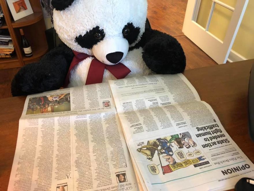 The Tale Of A Heartbroken, Homeless Panda Whose Life Was Transformed By The Love And Compassion Of Strangers