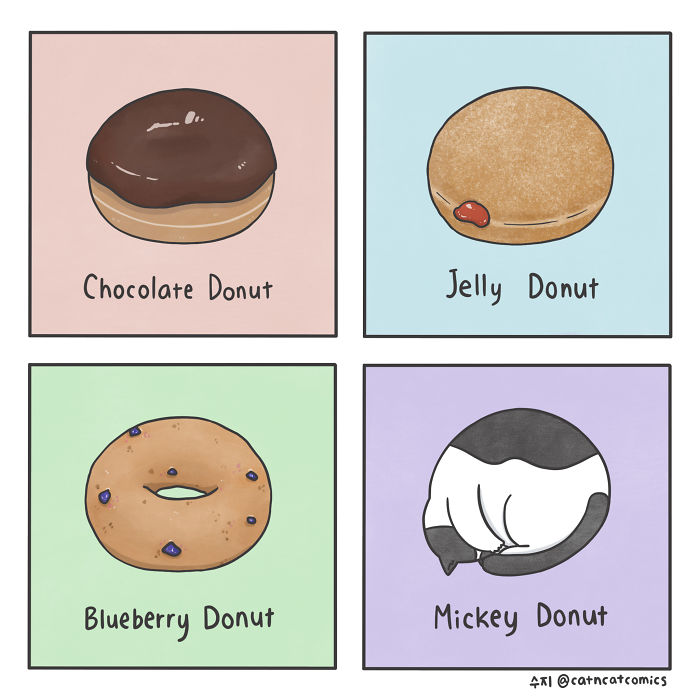 Donut