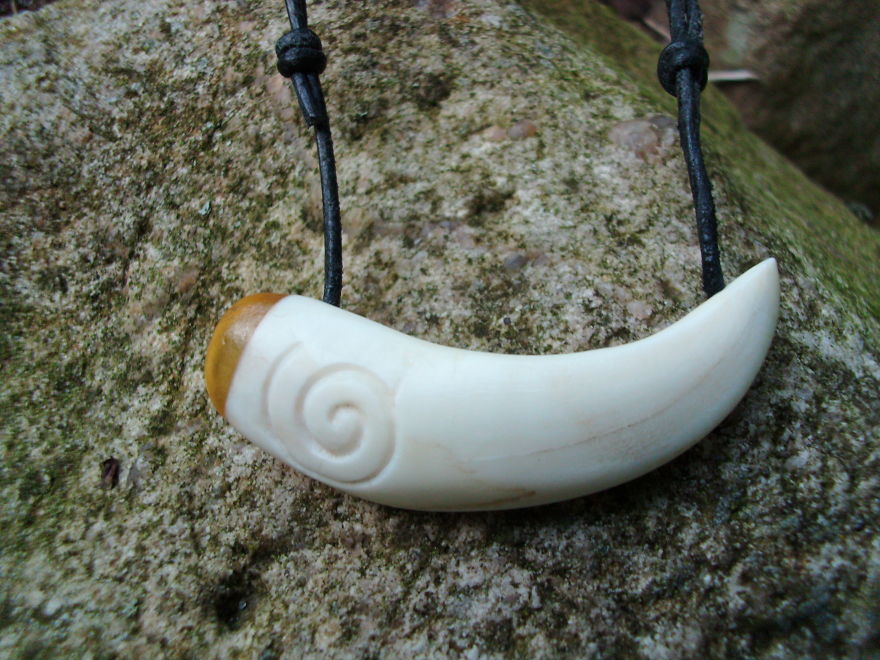 Wild Boar Tusk With Amber