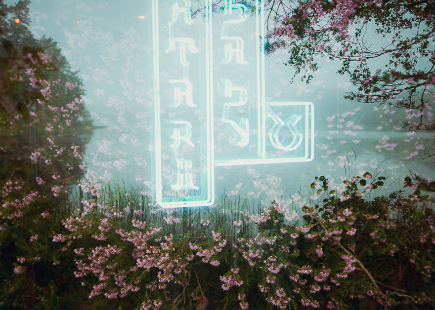 I Traveled From Finland To Hong Kong To Finish These In-Camera Multiple Exposures; A Contrasty Combination Of Scandinavian Nature & Asian Neon Lights