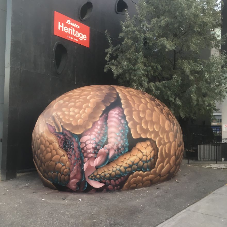 Half Man Half Bird, Paints Surreal Creatures Popping In And Out Of Walls Around The World. Half Man Half Bird, Paints Surreal Creatures Popping In And Out Of Walls Around The World.