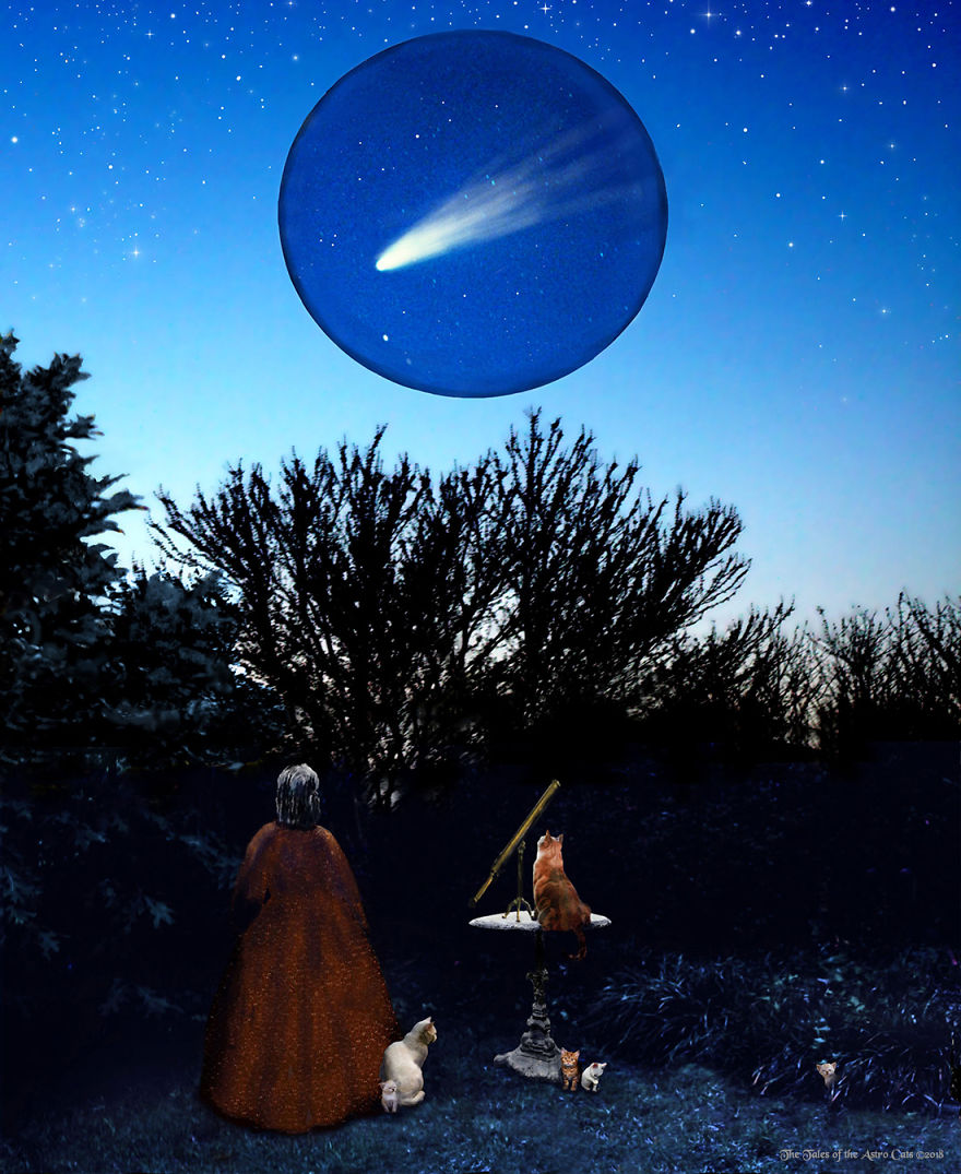 A Husband And Wife Collaboration Brings About A Book Inspired By The Love Of Their Family Cats And Astronomy A Husband And Wife Collaboration Brings About A Book Inspired By The Love Of Their Family Cats And Astronomy