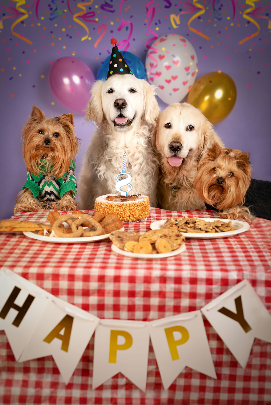 Party Hard