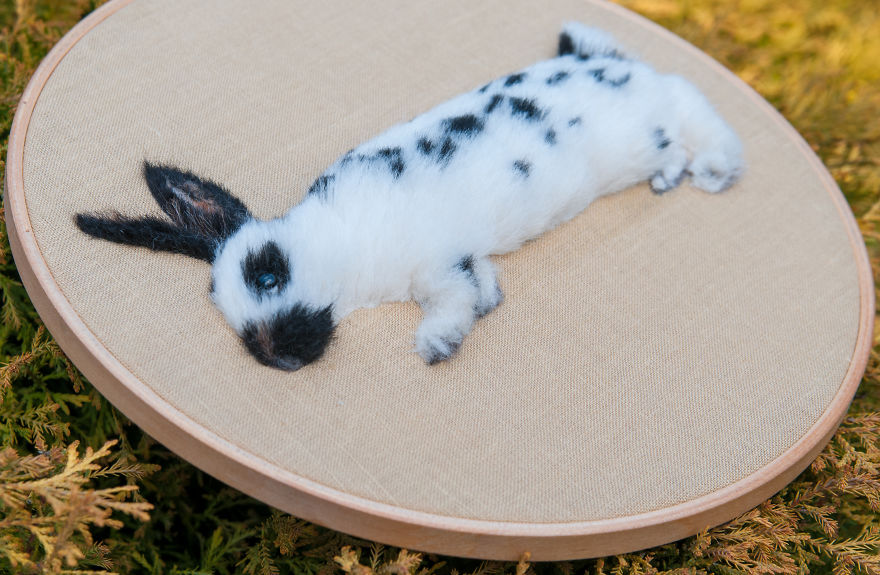 Painting Rabbit/Felted Rabbit/Woolen Bunny / 3D Pet Portrait/Memory Hoop Art/ Needle Felted Art/ Pet Gift/ Wool Painting/ Pet Picture